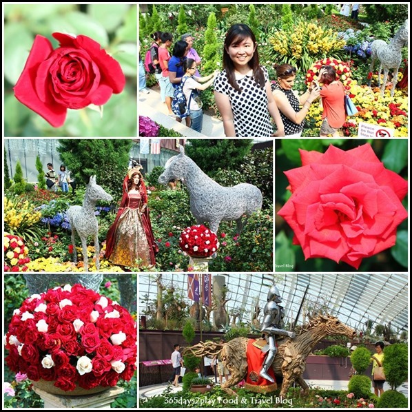 War of the Roses display at Gardens by the Bay (2)