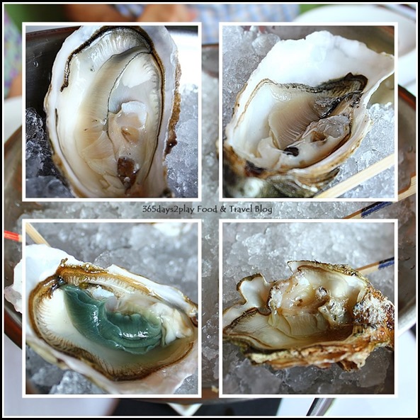 Absinthe Restaurant Francais - 4 types of oysters (Royale, Wild, Irish)