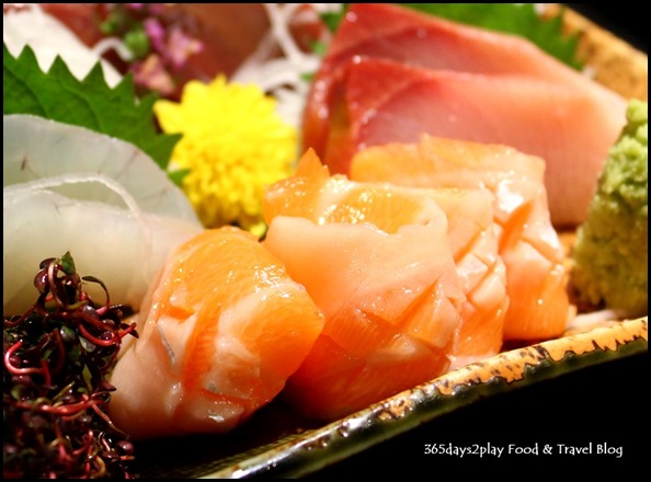 Shima Restaurant - Salmon Sashimi