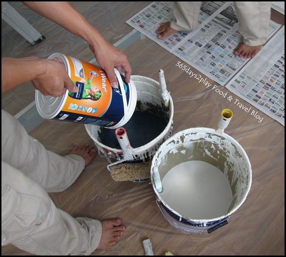 Dulux Painting Serice (7)