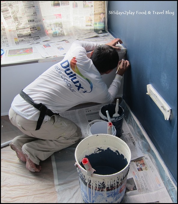 Dulux Painting Serice (9)