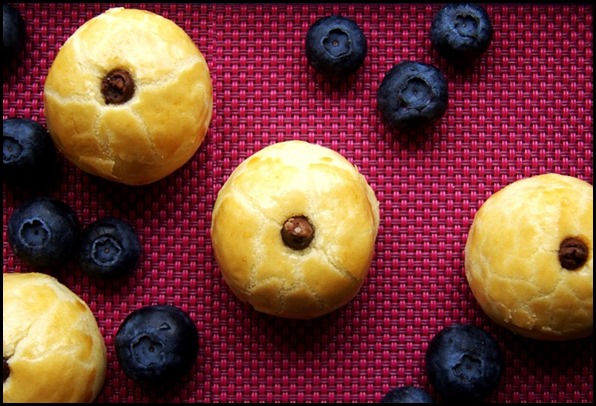 Closeup Blueberry