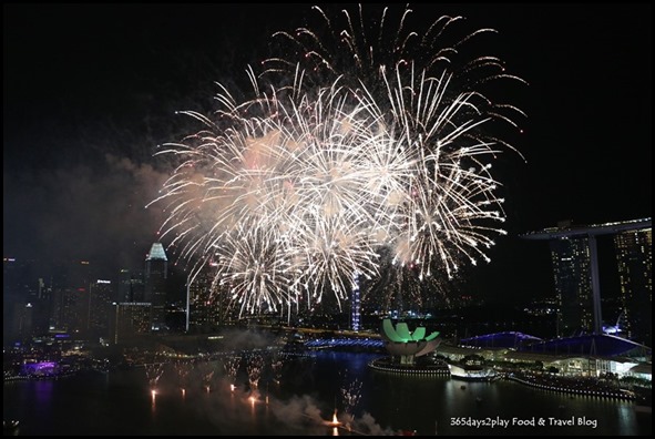 Marina Bay National Day Fireworks