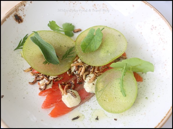 Aravina Estate - Citrus cured ocean trout, oyster cream, apple, burnt cucumber, celery (1)