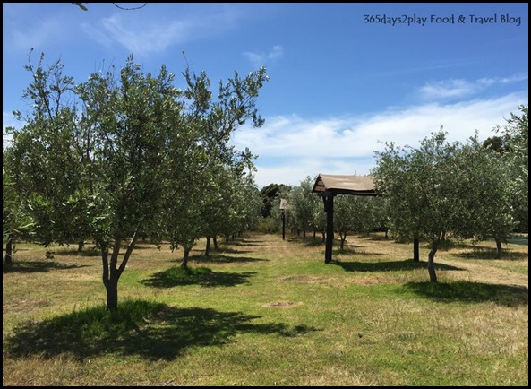 Olio Bello Olive Farm (2)