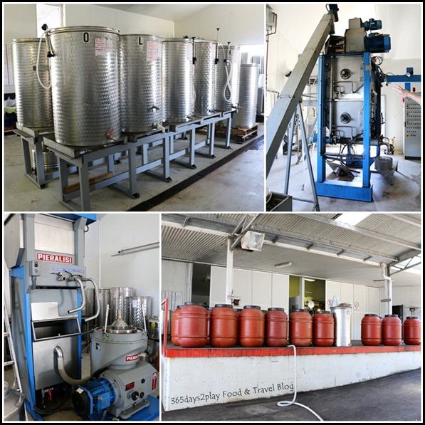 Olive Oil Making Machines