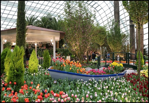 Gardens by the Bay Tulip Mania 2017 (17)