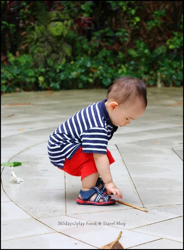 Baby Edward having fun at Hort Park (15)