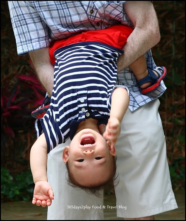 Baby Edward having fun at Hort Park (17)