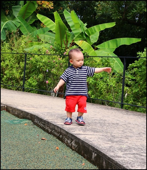 Baby Edward having fun at Hort Park (24)