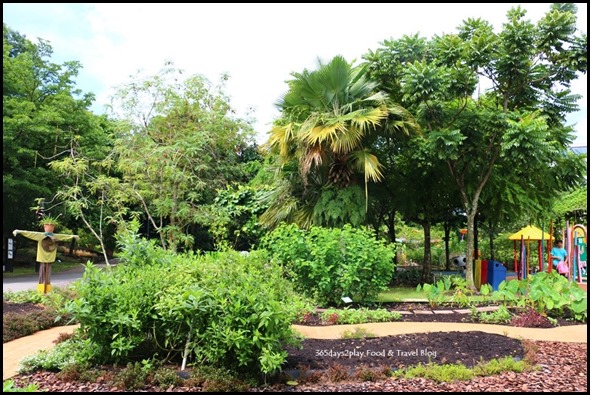 Baby Edward having fun at Hort Park (28)