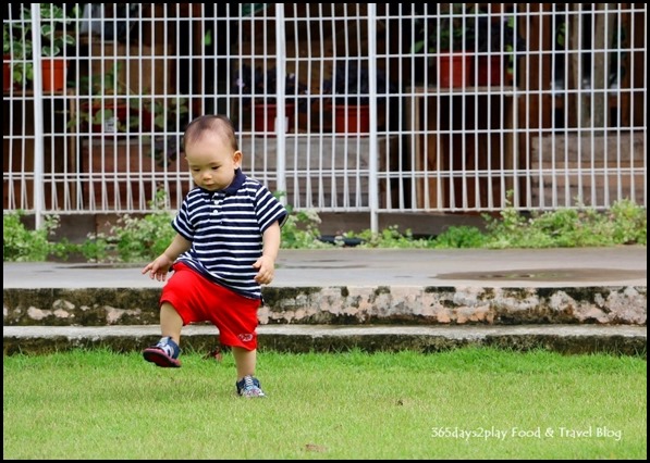 Baby Edward having fun at Hort Park (2)