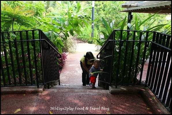 Baby Edward having fun at Hort Park (32)