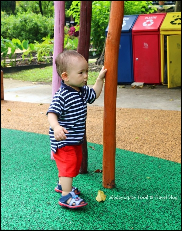 Baby Edward having fun at Hort Park (38)