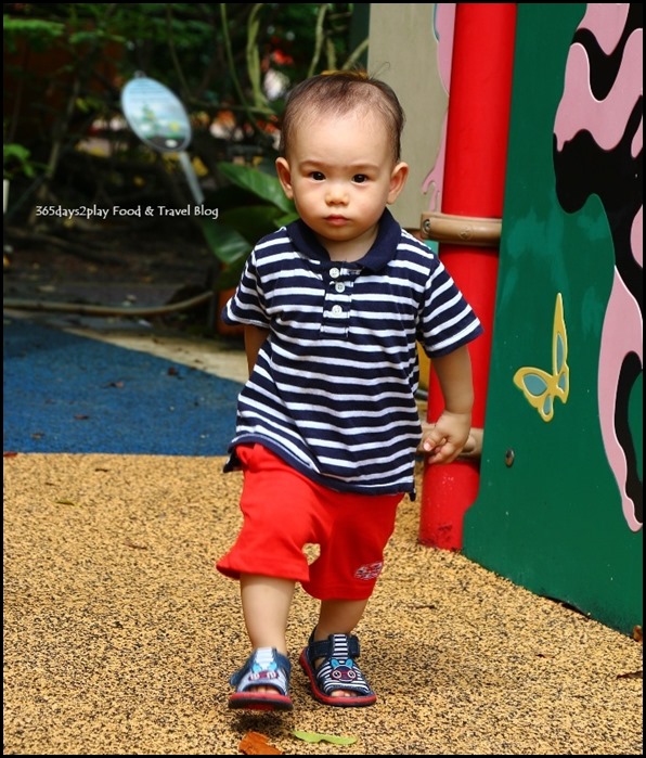 Baby Edward having fun at Hort Park (40)