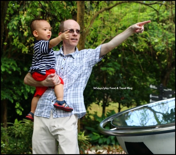 Baby Edward having fun at Hort Park (46)