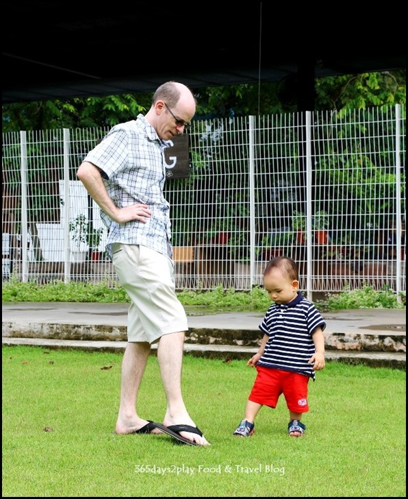 Baby Edward having fun at Hort Park (6)