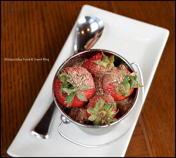 LeVeL33 - Strawberry Pot (Chocolate brownie, chocolate soil, vanilla mousse) $8 (2)