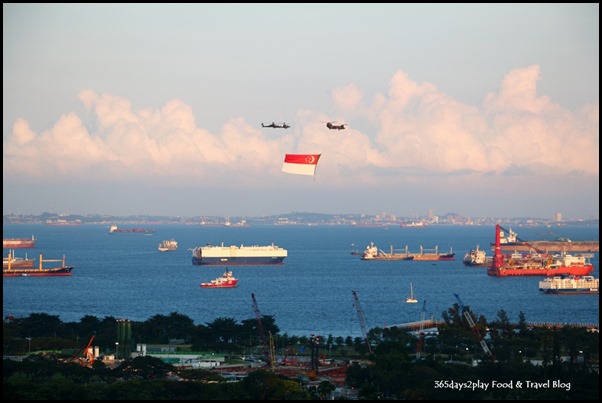 NDP Flag Flypast