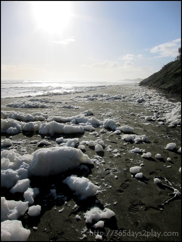 Muriwai Black Sand foamy beach