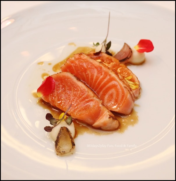 Fisk - Trout Tataki (Charred trout with celeriac reduction and horseradish oil)