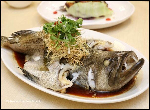 Steamed Black Pearl Garoupa with Superior Soy Sauce