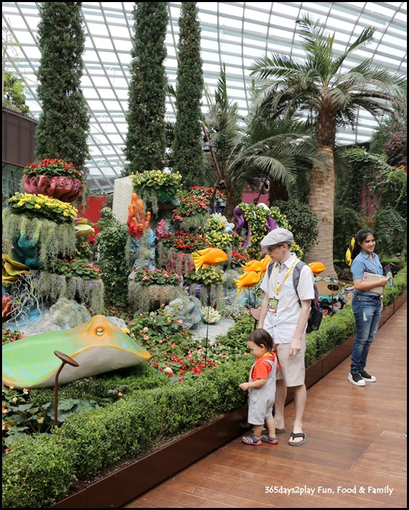 Gardens by the Bay Flower Dome - Begonia Brilliance (19)