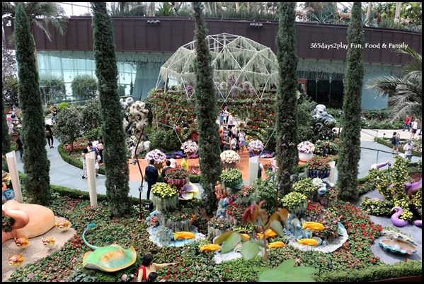 Gardens by the Bay Flower Dome - Begonia Brilliance (5)