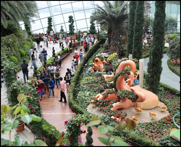 Gardens by the Bay Flower Dome - Begonia Brilliance (6)