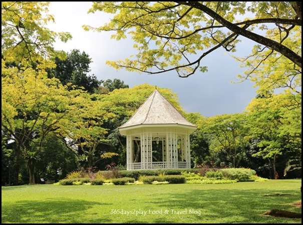 Singapore Botanic Gardens Bandstand and raintrees