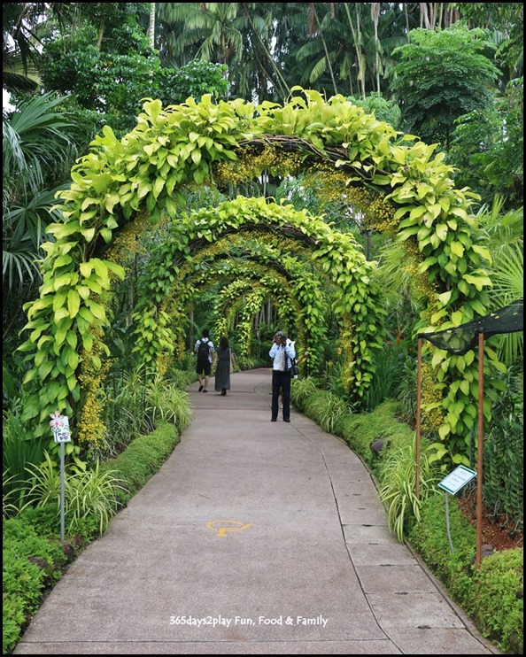 Singapore Botanic Gardens Heritage  (11)