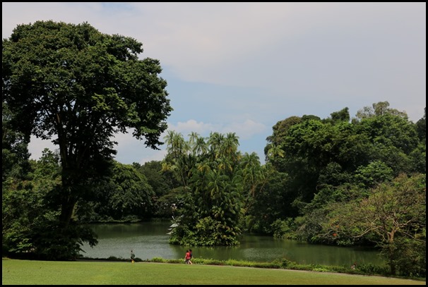 Singapore Botanic Gardens Heritage  (6)