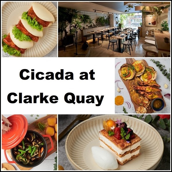 Cicada at Clarke Quay