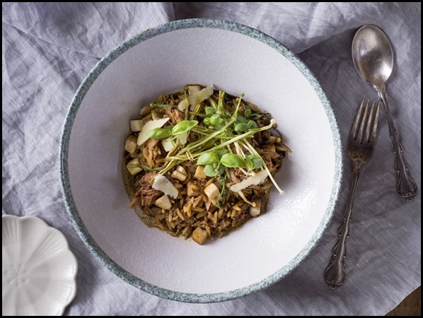 Pulled Pork Creamy Risoni Pasta