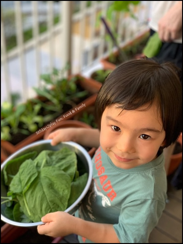 Happy Gardener