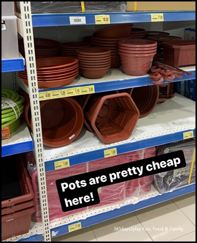 Plant pots