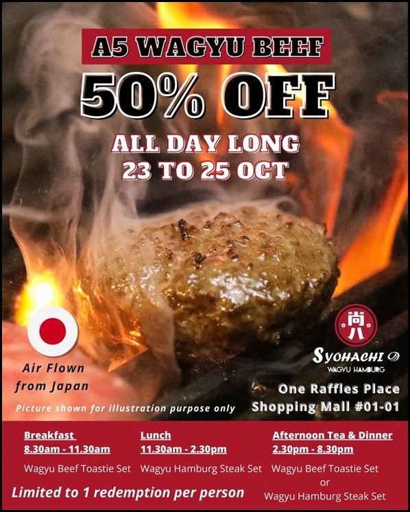 Syohachi Wagyu Hamburg 50% discount